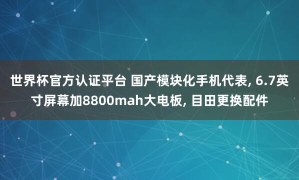 世界杯官方認(rèn)證平臺 國產(chǎn)模塊化手機(jī)代表， 6.7英寸屏幕加8800mah大電板， 目田更換配件